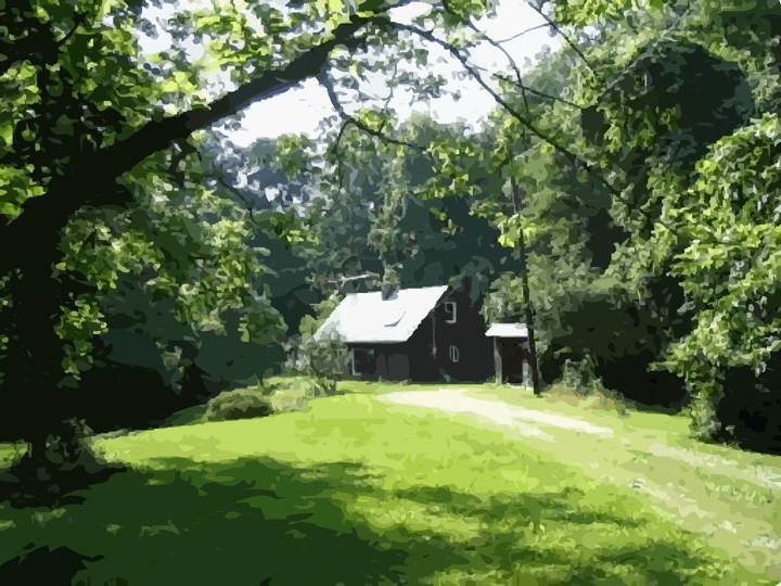 photo of small cabin in the woods surrounded by trees and a lawn