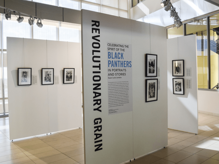 Revolutionary Grain Context exhibit featuring portraits of Black Panthers by Suzun Lucia Lamaina.